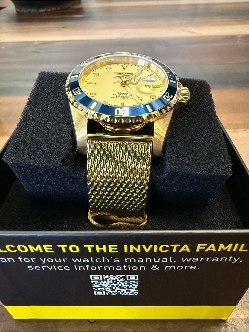 Invicta grand diver